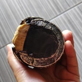 Skull Shaving Brush Foaming Soap Bowl Set photo review